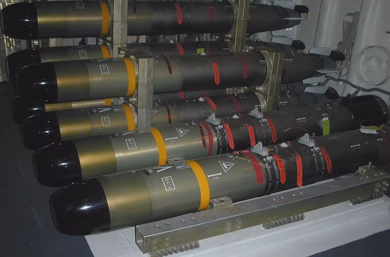 Ngư lôi A244 có trọng lượng 254kg được trang bị các đầu dò cảm biến âm thanh hiện đại, nó có thể hoạt động ở cả các khu vực nước sâu lẫn nước nông. A244 lắp động cơ đẩy pin năng lượng với hai cánh quạt quay ngược chiều nhau cho tốc độ tối đa 36 hải lý/giờ với phạm vi tấn công hiệu quả là 13,5km.