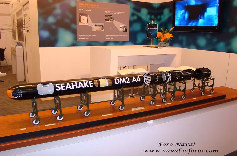 Ngư lôi DM2A4 (phiên bản xuất khẩu: SeaHake mod 4) do công ty Atlas Elektronik phát triển trang bị cho đội tàu ngầm phi hạt nhân Type 212 của Hải quân Đức. Một trong những ưu điểm của DM2A4 là sử dụng hệ thống dầu dò có tốc độ dẫn đường cực nhanh giúp nó có thể dễ dàng phát hiện và tiêu diệt các mục tiêu bên trên lẫn bên dưới mặt nước.