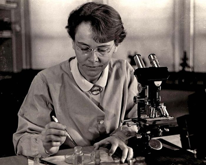 Bà Barbara McClintock (16/6/1902 - 2/9/1992) là nhà khoa học di truyền học tế bào người Mỹ được trao giải Nobel Sinh lý học và Y khoa năm 1983. Bà McClintock nghiên cứu về cấu trúc gene của ngô, đặc biệt là sự hoán vị gene làm thay đổi vị trí trên nhiễm sắc thể.