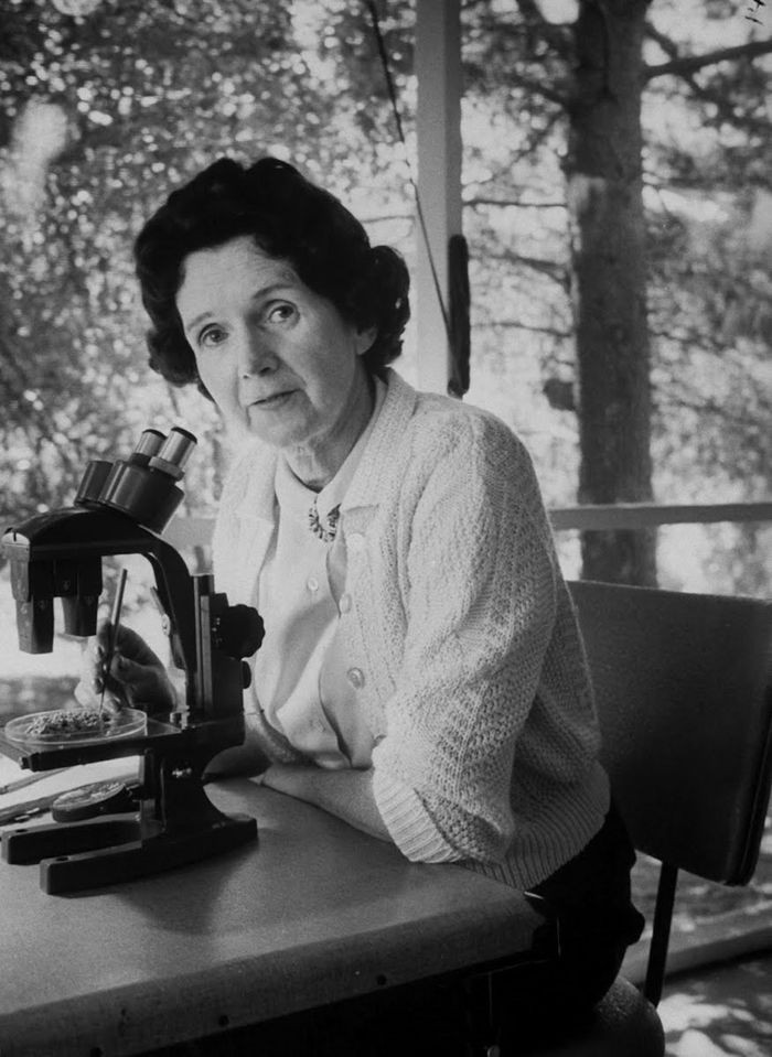 Bà Rachel Louise Carson (27/5/1907 – 14/4/1964) là nhà động vật học và sinh học biển. Bà sinh tại Pittsburgh, Hoa Kỳ. Tác phẩm nổi tiếng của bà, Mùa xuân vắng lặng (Silent Spring), được ghi nhận là xuất phát điểm cho phong trào bảo vệ môi trường trên toàn cầu. Rachel Carson được truy tặng huân chương tổng thống về tự do (Presidential Medal of Freedom).