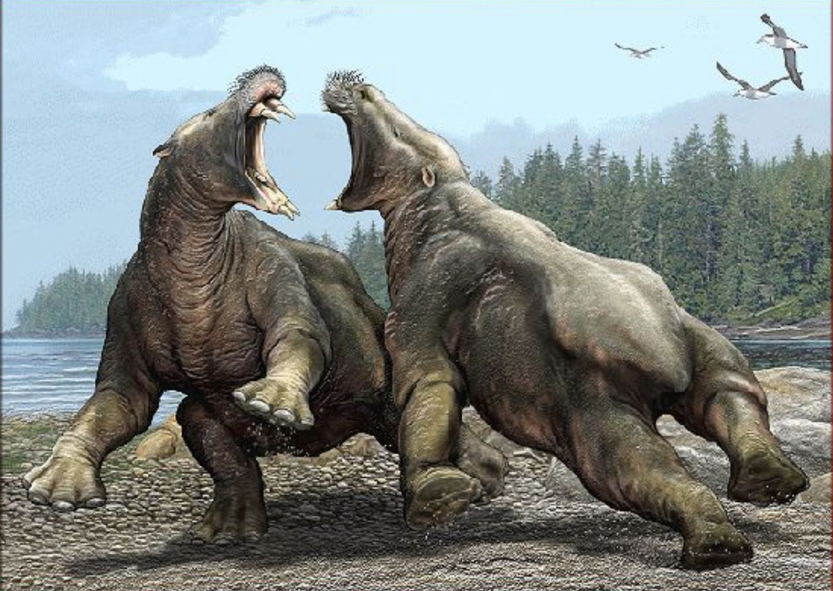 Ha ma khong lo co dai so huu nhung chiec rang sac nhu dao cao!