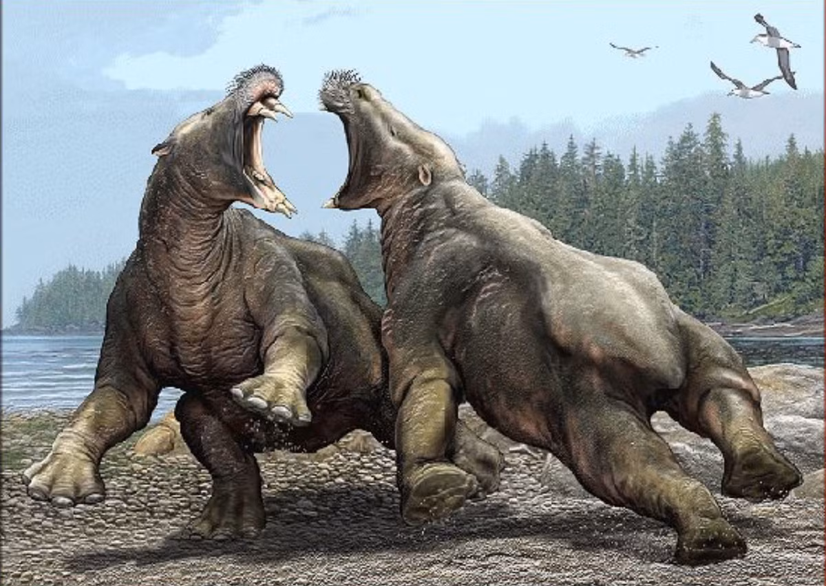 Ha ma khong lo co dai so huu nhung chiec rang sac nhu dao cao!