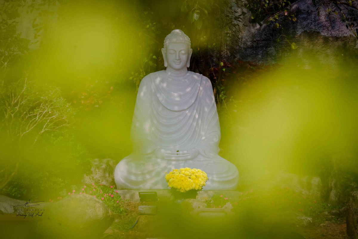 Từ khi được xây dựng, chùa Vạn Linh dù nhỏ bé nhưng lại có đức độ chữa bệnh cứu đời của Hòa thượng Thích Thiện Quang, do đó ngôi chùa này dần trở nên có tiếng và thu hút bà con đến thăm.