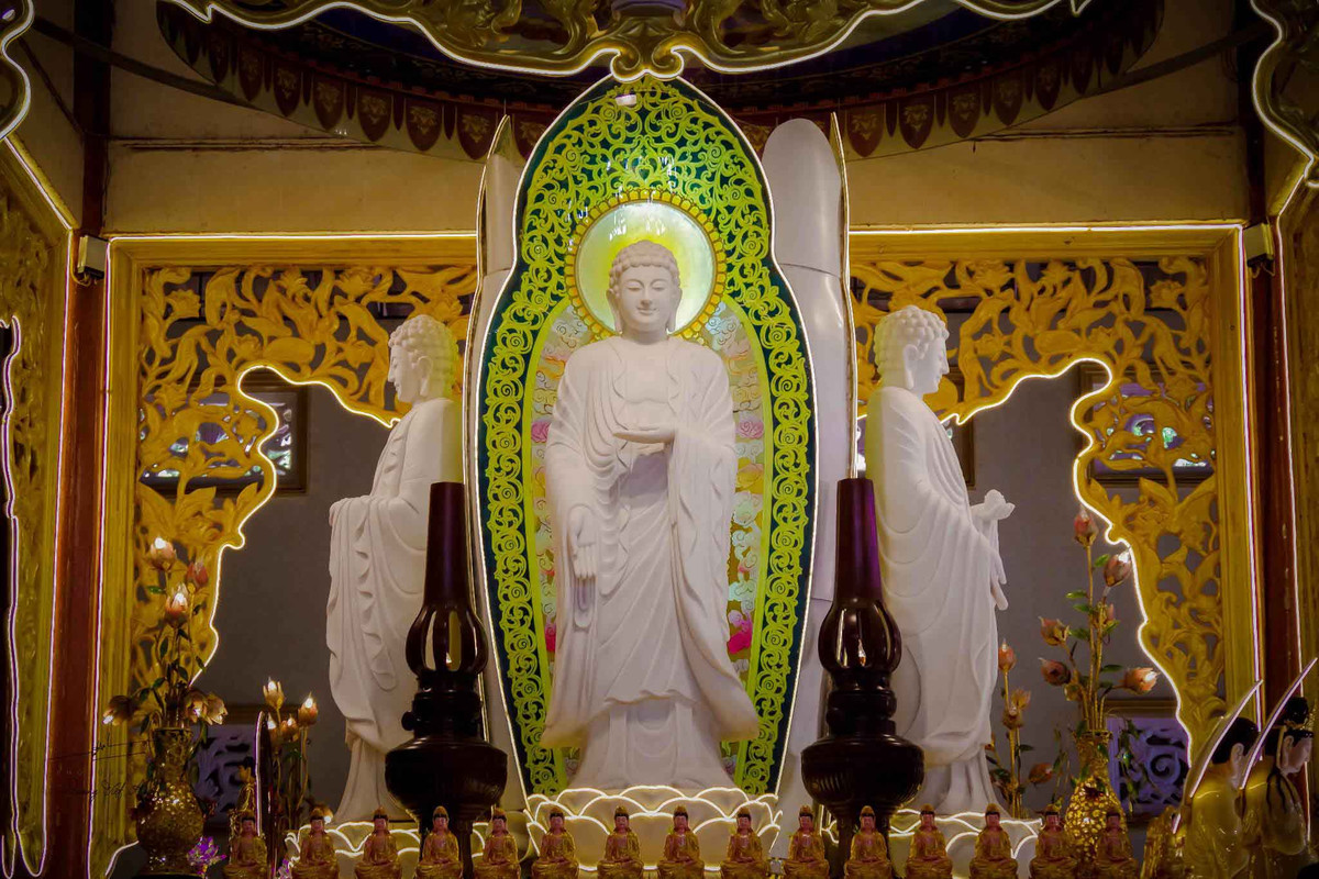 Sau một thời gian dài, Hòa thượng Thích Trí Tịnh trùng tu và tôn tạo lại chùa Vạn Linh, giúp cho ngôi chùa trở nên khang trang hơn.