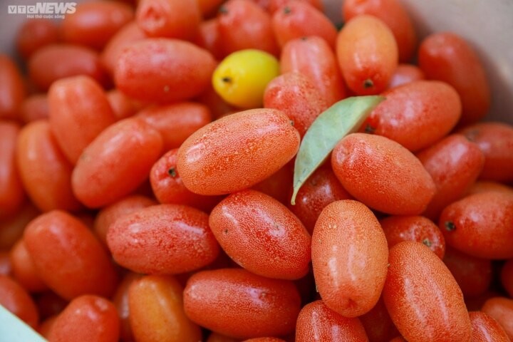 Những trái nhót chín tươi ngon, căng mọng với màu sắc vô cùng bắt mắt.