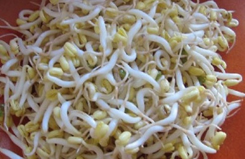 4 luu y can tranh khi an gia do-Hinh-2