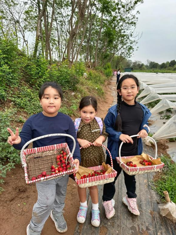 Có thể thấy, dù là nhóc tì "ngậm thìa vàng" và sinh ra trong gia đình giàu có, thế nhưng khi có cơ hội hoạt động ngoài trời, cô bé đã tỏ ra rất thích thú.