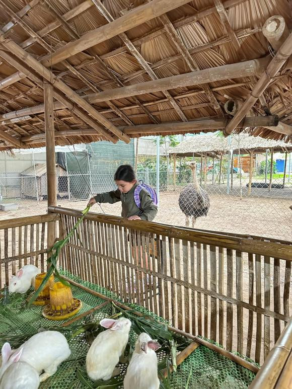 Hơn nữa, công chúa nhỏ cũng chẳng ngại lấm bẩn mà xà vào chuồng thỏ hay thực hiện nhiều hoạt động khác như chèo thuyền, cho dê ăn và chơi đùa cùng các bạn.