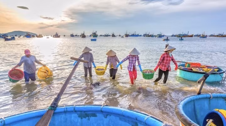  4. Mũi Né - Bình Thuận: Mũi Né thu hút được rất nhiều du khách bởi dòng nước biển màu xanh ngọc cùng bãi cát trắng ngần, dưới ánh nắng vàng đầy thơ mộng. Không những thế, khách còn được trải nghiệm, khám phá những con suối róc rách được bao bọc xung quanh bởi những tảng đá vôi khổng lồ và những ngôi làng đánh cá hoang sơ với vẻ đẹp độc đáo như tranh vẽ. Bên cạnh đó, việc ngắm hoàng hôn cực kì lãng mạn tại Mũi Né cũng vô cùng thú vị.