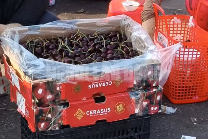 Can than voi Cherry Chile gia sieu re bao ngon o TP HCM-Hinh-5