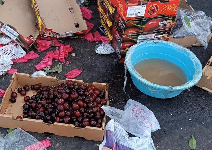 Can than voi Cherry Chile gia sieu re bao ngon o TP HCM-Hinh-2