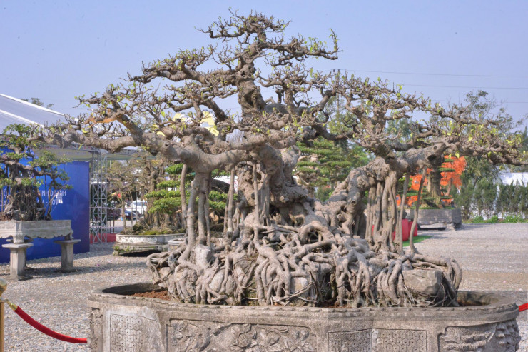 Chiem nguong sieu pham 