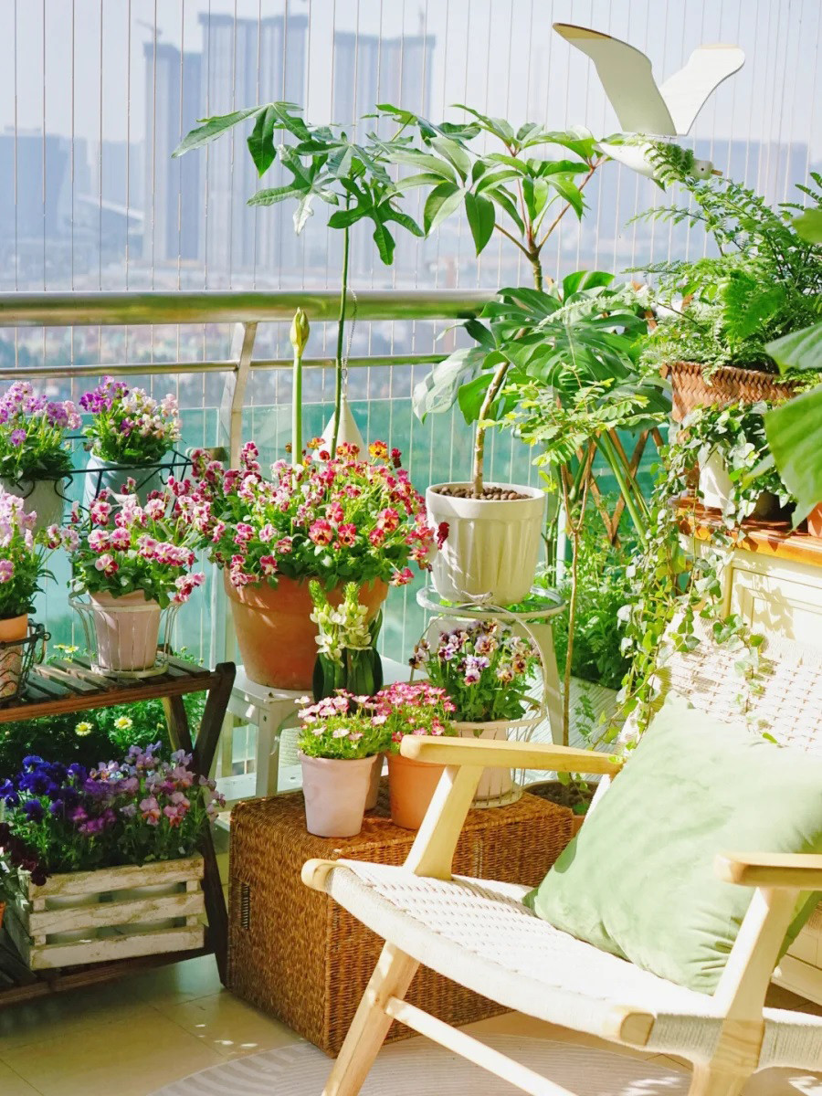 Mẹ đảm khéo biến 6m2 ban công thành khu vườn xanh mướt Me dam kheo bien 6m2 ban cong thanh khu vuon xanh muot