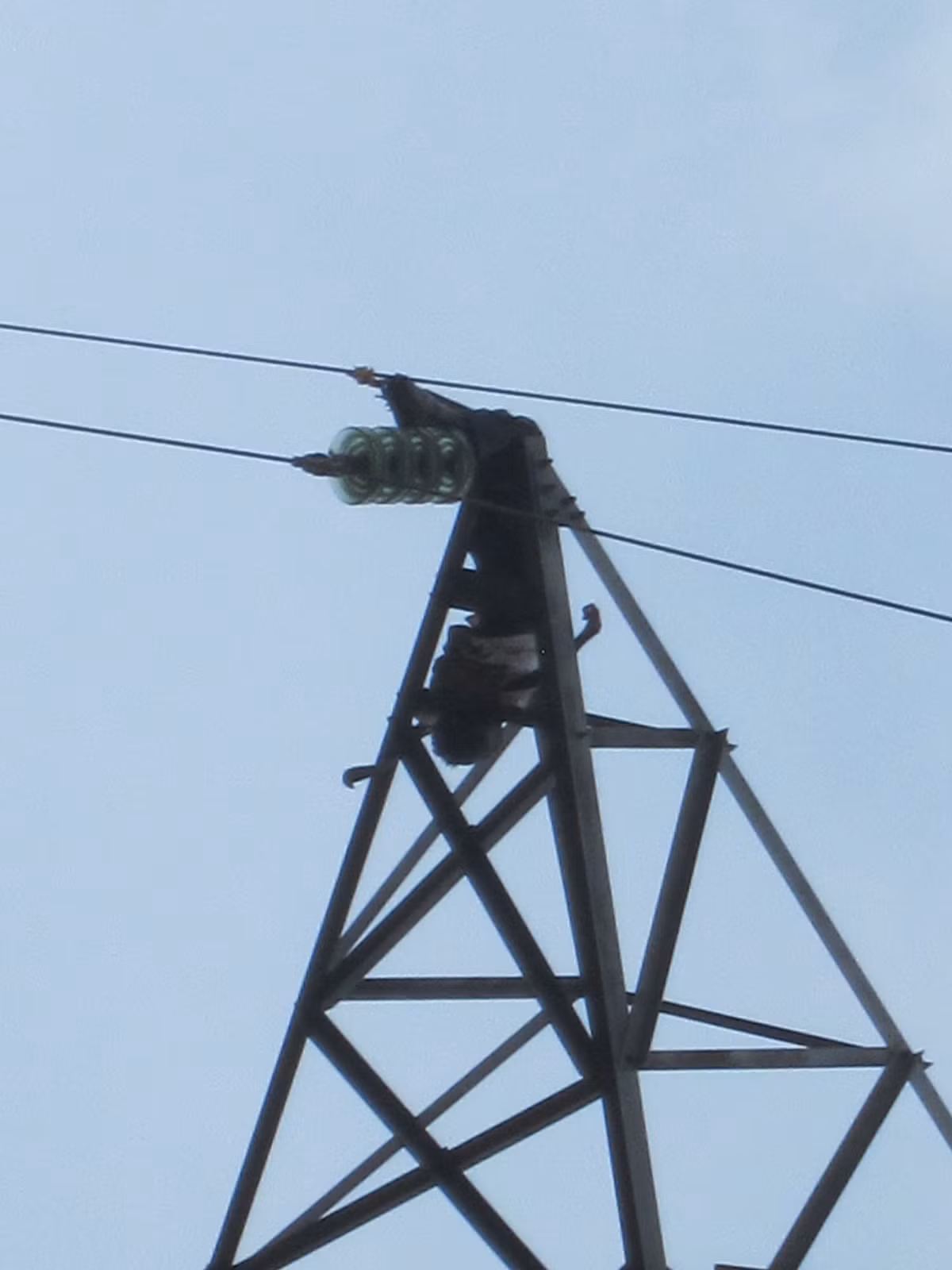 Xác chết được phát hiện trên cột điện. (Ảnh: Hải Ninh)