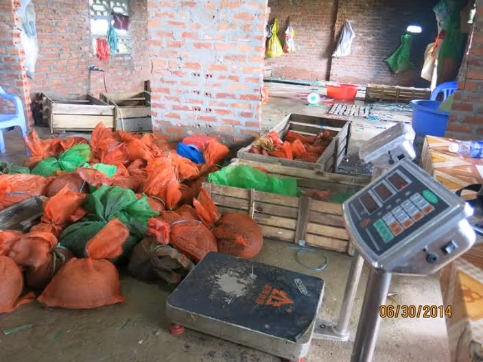 Cơ sở buôn bán tê tê trái phép vừa bị triệt phá.