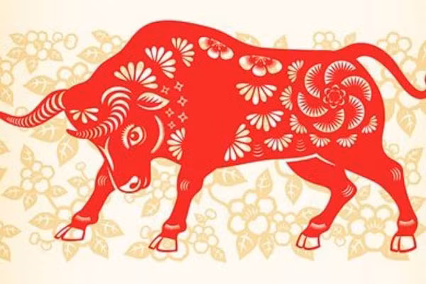 Đây chính là thời gian tuổi Sửu bước qua những tai ương, của nạn tậm tai và là thời gian đáng mong chờ với người tuổi .