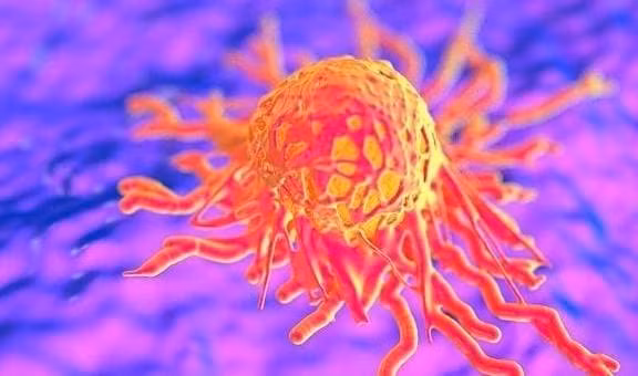 Bo phan nay bi dau, co the te bao ung thu sap thuc giac