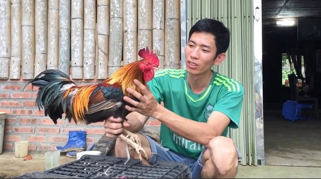 Nuoi loai ga dac san, 8x Phu Tho thu ve nua ty dong moi nam-Hinh-7