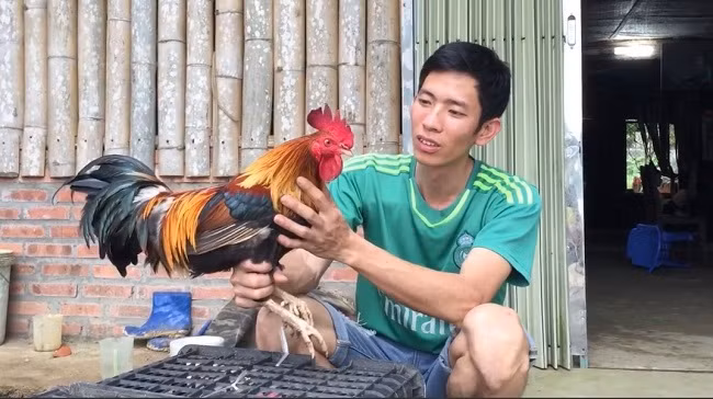 Nuoi loai ga dac san, 8x Phu Tho thu ve nua ty dong moi nam-Hinh-7