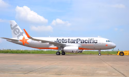 Việc vận chuyển chim cánh cụt nằm trong dự án của Công Viên Vui Chơi Giải Trí Vinpear Land.