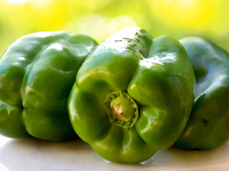 Ớt capsicum. Ớt capsicum còn được biết đến với tên gọi ớt chuông. Ớt capsicum chứa nhiều phytonutrient. Khi đi vào cơ thể, phytonutrient có tác dụng chống nhiễm trùng dạ dày cực nhạy.