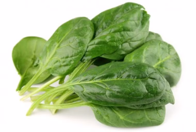 Rau bina. Rau bina giàu kẽm, magie và kali có khả năng tăng cường hệ miễn dịch cơ thể, ức chế sự phát triển của khối u. Để bảo vệ cơ thể, tốt nhất bạn nên tăng cường chúng trong bữa ăn hàng ngày.