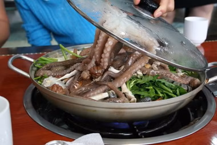 Bạch tuộc sống. Bạc tuộc sống là nguyên liệu được sử dụng nhiều bởi người Hàn Quốc. Bản thân những chú bạch tuộc không gây ngộ độc song nếu chẳng may, người ăn có thể nghẹt thở đến chết khi bị các xúc tu bạch tuộc dính chặt vào cổ họng.