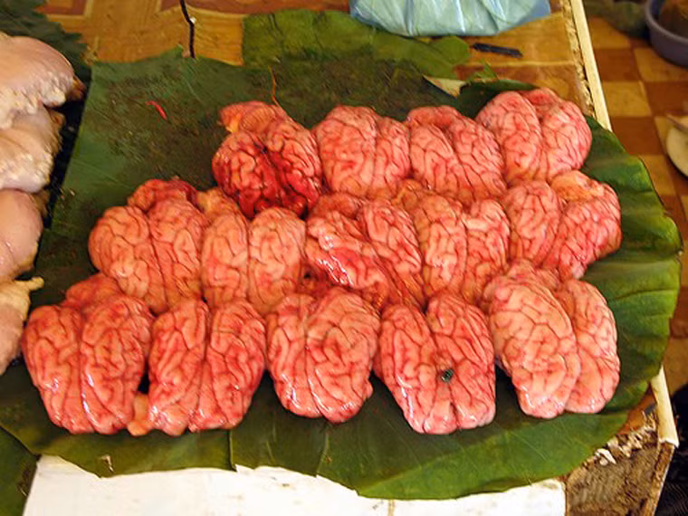 Não khỉ. Não khỉ được thưởng thức khá phổ biến tại Ấn Độ. Không chỉ khiến nhiều người khiếp sợ về hình dáng máu me bên ngoài, óc khỉ còn tiềm ẩn mối nguy tử vong. Nó cũng khiến không ít người e ngại khi có khả năng gây ra các bệnh truyền nhiễm nguy hiểm.