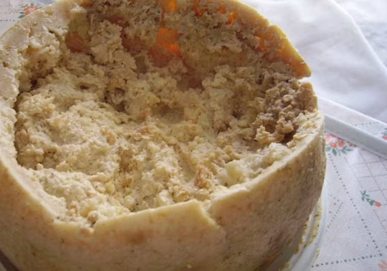 Casu marzu. Casu marzu phổ biến ở Sardina, Italy. Nó được làm từ sữa cừu lên men nhờ vi khuẩn piophila. Món ăn vô cùng độc đáo với những chú giòi bò lổm ngổm trên bề mặt cũng như mùi vị khủng khiếp. Gần đây, casu marzu bị cấm bởi chúng có khả năng gây ra những vẫn đề sức khỏe nghiêm trọng như nôn mửa, tiêu chảy.