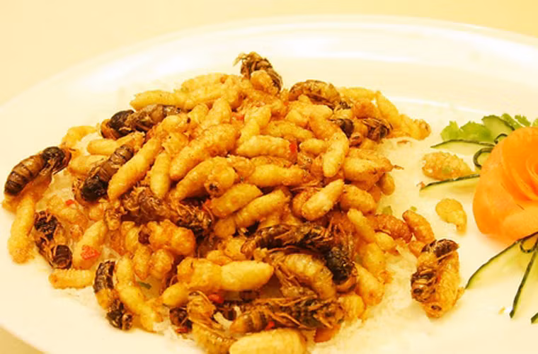 Nhộng ong chiên. Nhộng ong giàu chất dinh dưỡng, được sử dụng làm nguyên liệu món ăn ở nhiều vùng như Trương Gia Giới, Phượng hoàng Cổ trấn, Đông nam Quý Châu và Vân Nam.