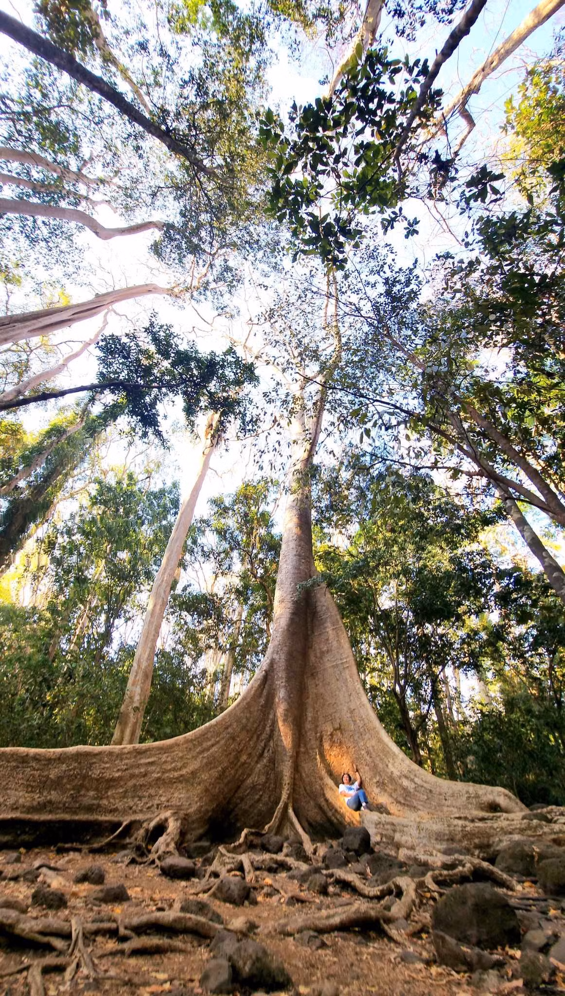 Là khu rừng mưa nhiệt đới chứa đựng nguồn tài nguyên đa dạng sinh học quý báu hàng đầu Việt Nam, Vườn Quốc gia Cát Tiên đã được UNESCO công nhận là Khu dự trữ sinh quyển thế giới từ năm 2001. Đến năm 2005, Ban Thư ký công ước Ramsar công nhận khu đất ngập nước Bàu Sấu trong Vườn Quốc gia Cát Tiên là khu Ramsar có tầm quan trọng quốc tế. Ngày 27-9-2012, Chính phủ đã xếp hạng Vườn Quốc gia Cát Tiên là Di tích quốc gia đặc biệt.