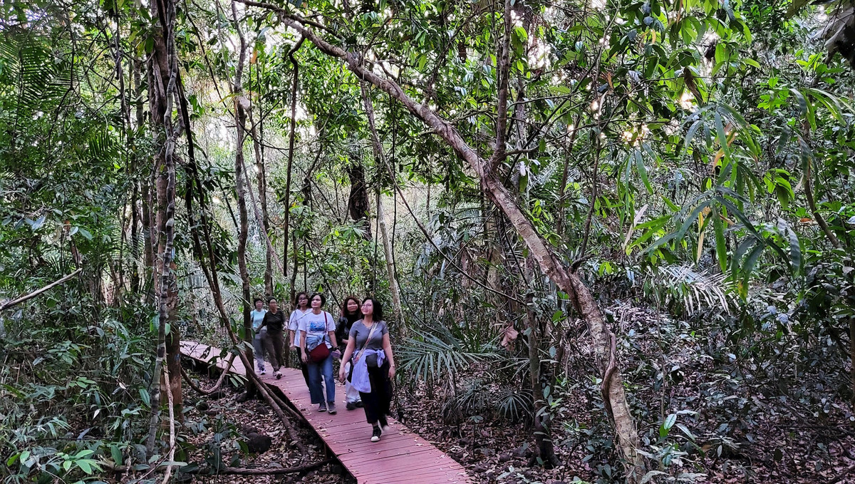 Hoặc đi bộ theo con đường lát gỗ quanh co...