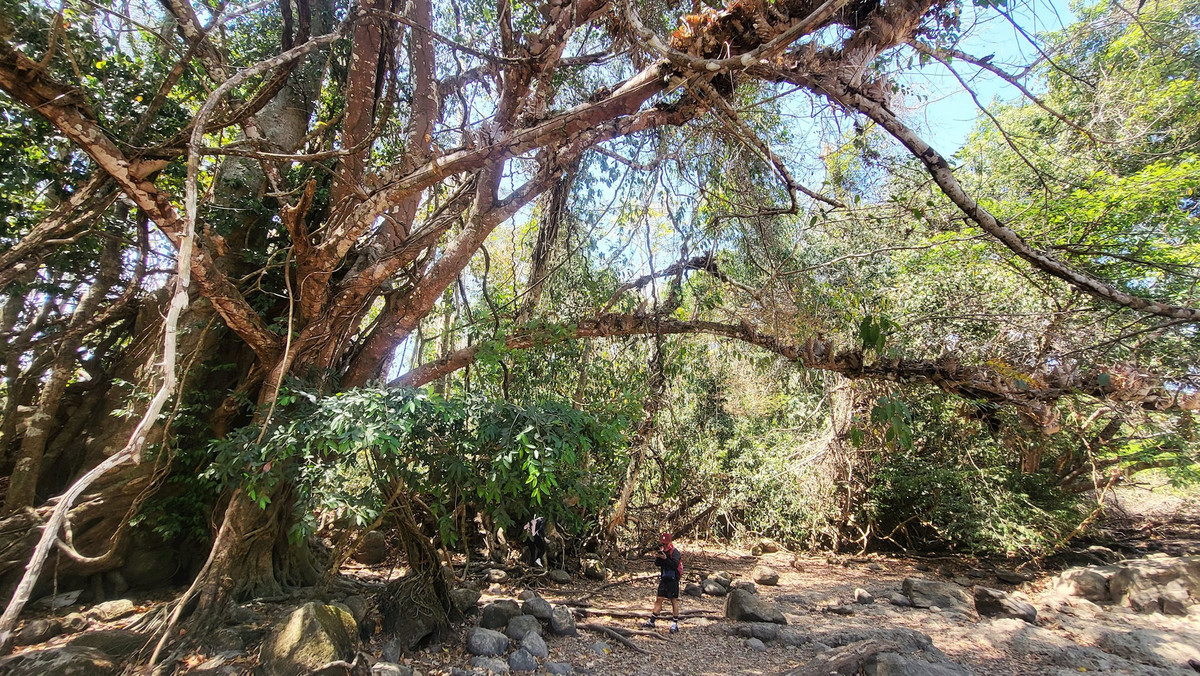 Sáng hôm sau, quay lại với rừng để hít thở khí trời trong trẻo, đầy năng lượng, du khách như được tiếp thêm nguồn cảm hứng mới....