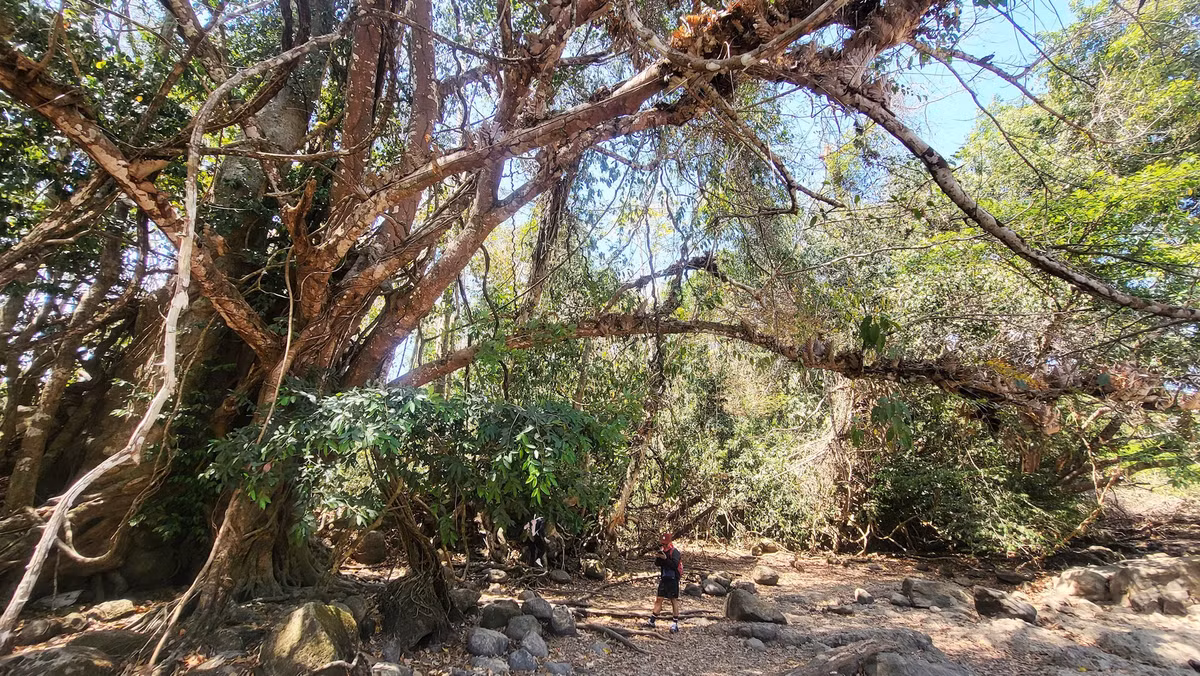 Sáng hôm sau, quay lại với rừng để hít thở khí trời trong trẻo, đầy năng lượng, du khách như được tiếp thêm nguồn cảm hứng mới....