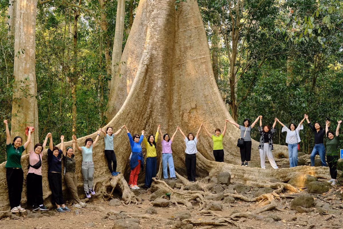 ...đến thăm cây tung cổ thụ hơn 400 năm tuổi.