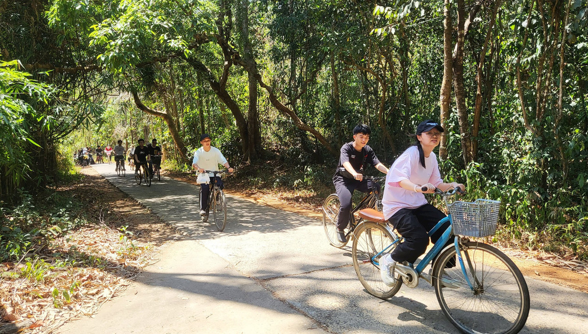 Rồi sau đó, có thể lựa chọn đạp xe dưới tán cây xanh mát, trên những con đường nhỏ xuyên rừng.