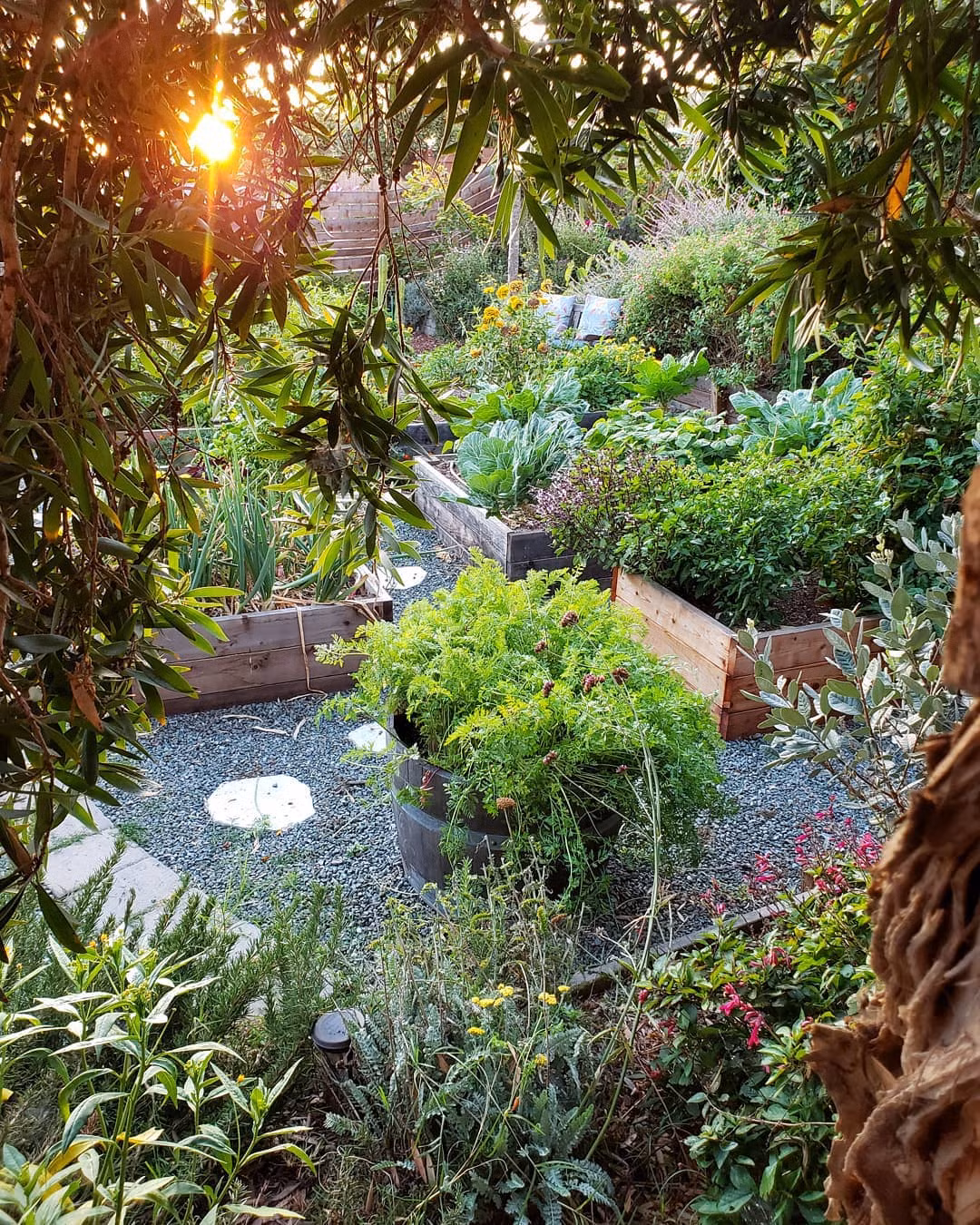 Đối với chị, việc trồng cây làm vườn luôn là việc làm ý nghĩa.