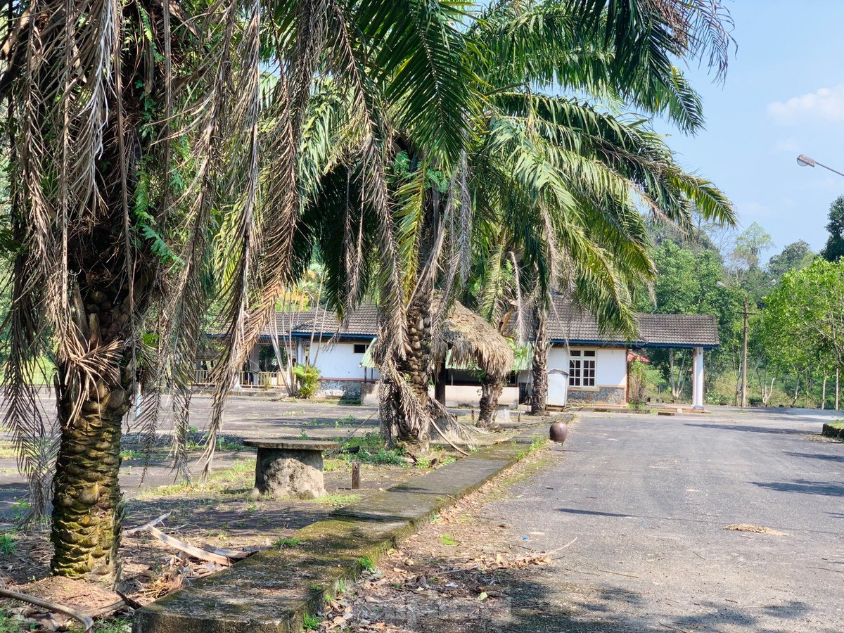 Ông Hoàng Văn Thư – Chủ tịch UBND xã Sơn Kim 1, huyện Hương Sơn cho biết, Khu du lịch sinh thái nước khoáng nóng Sơn Kim có tiềm năng lợi thế để phát triển kinh tế du lịch, tuy nhiên nhiều năm qua bỏ hoang vì không có khách, hạ tầng xuống cấp.