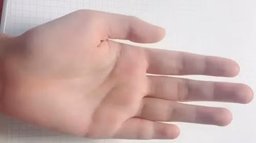 Nghiên cứu này đưa ra một giả thuyết rằng, con người có thể được chia ra thành hai loại: một bên thích những mối quan hệ thoáng qua và số còn lại tìm kiếm sự cam kết lâu dài.