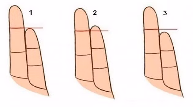 Ngón tay đeo nhẫn tiết lộ tính cách. Theo một nghiên cứu của trường Đại học Canada, người đàn ông có ngón đeo nhẫn dài hơn ngón trỏ thường tốt bụng và quan tâm đến người xung quanh nhiều hơn.