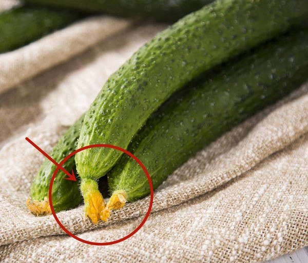 7 loại rau chợ Việt bán nhiều: Nếu thấy dấu hiệu này đừng mua 7 loai rau cho Viet ban nhieu: Neu thay dau hieu nay dung mua