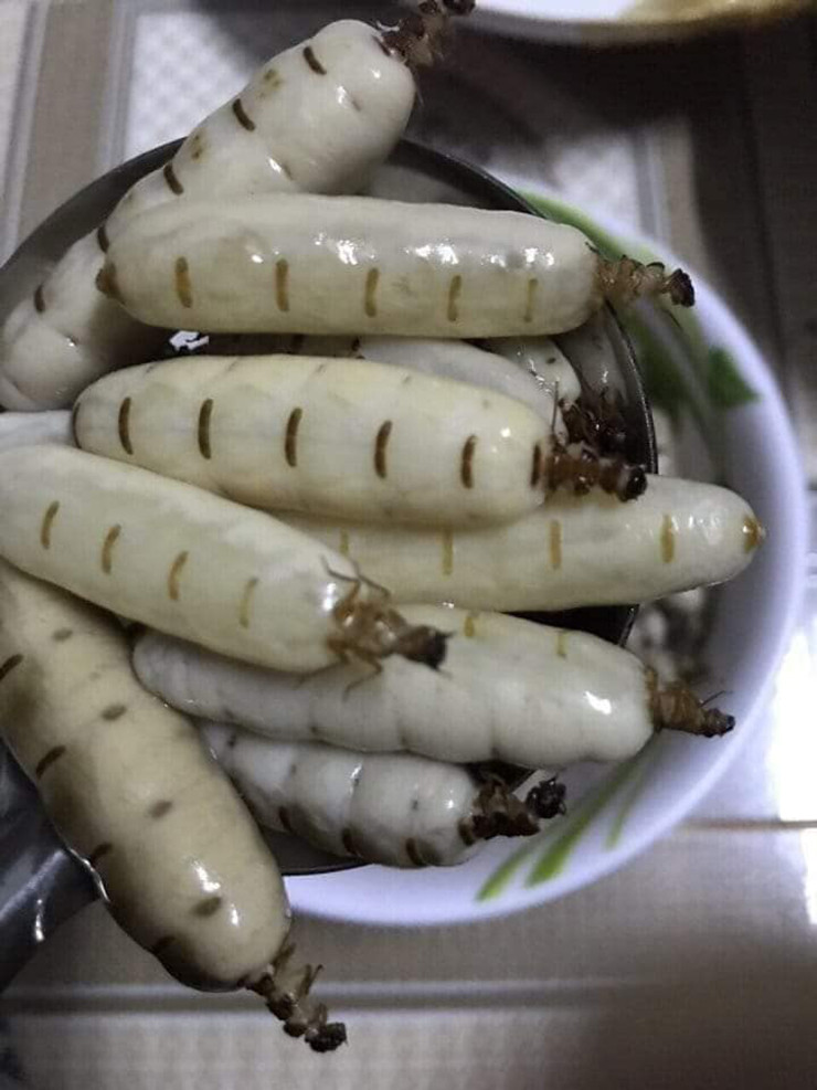 Trên chợ mạng, mối chúa được bán theo con. Mỗi con có giá lên tới vài chục nghìn