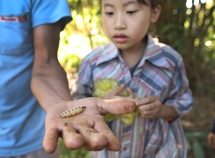 Anh Bình tiết lộ thời điểm mối chúa nở rộ, trung bình mỗi tháng anh kiếm thêm được khoảng chục triệu từ việc săn mối chúa