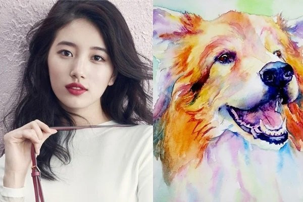  Tuổi Tuất. Người cầm tinh con giáp tuổi Tuất có vận trình tài lộc trong vòng ba năm tới rất tốt. Tài vận của họ sẽ ngày càng vượng phát. Ngay cả khi người tuổi Tuất đã trải qua một số thăng trầm và khó khăn, họ đều có thể bù đắp cho những mất mát của mình trong 3 năm tới.