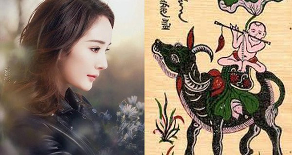 Bản mệnh có cơ duyên tốt lành để gặp được quý nhân, từ đây, đường công danh rực sáng bất ngờ, tài lộc đổ về ầm ầm.