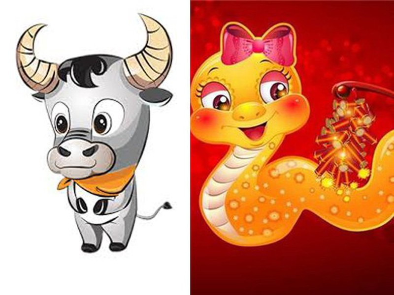 Theo tử vi, họ chính là cặp con giáp biết thay đổi vì nhau, biết ngày càng hoàn thiện bản thân mình hơn và cùng nhau xây dựng gia đình hạnh phúc và giàu có.