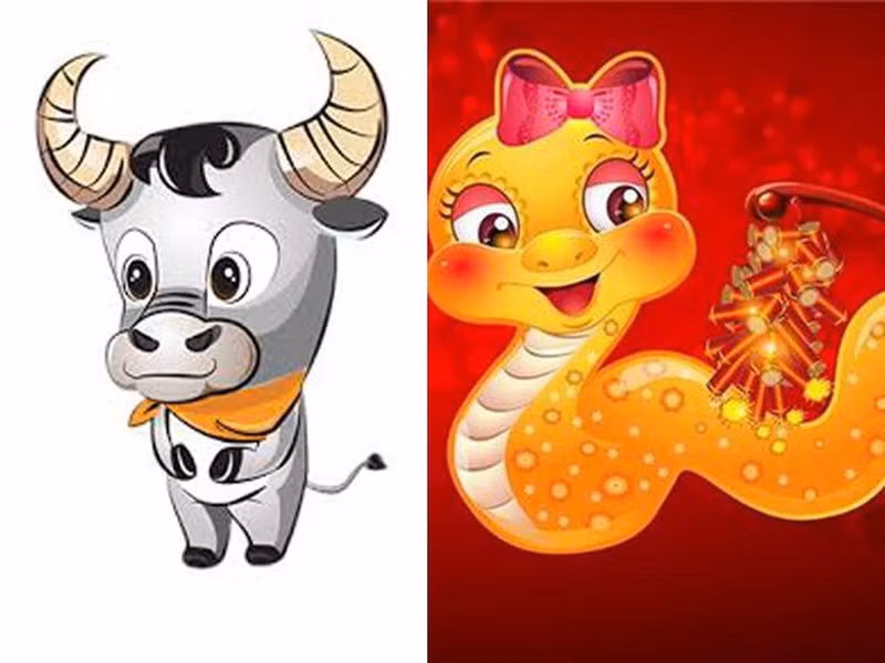 Theo tử vi, họ chính là cặp con giáp biết thay đổi vì nhau, biết ngày càng hoàn thiện bản thân mình hơn và cùng nhau xây dựng gia đình hạnh phúc và giàu có.