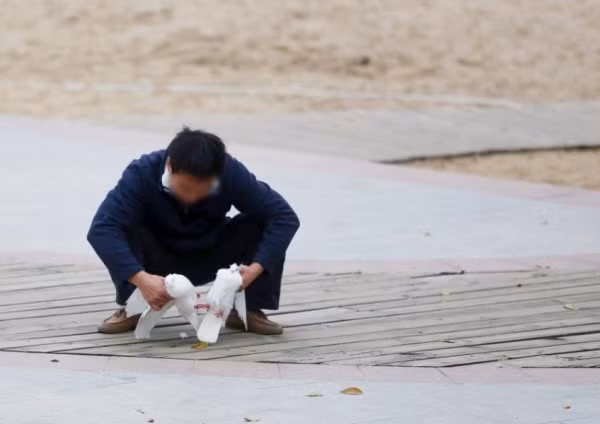 Nickname ZiaoLin bình luận trên QQ: “Chẳng khác nào hôi của cả! Cảm tưởng như những người này đã rình, dòm ngó bầy chim từ rất lâu, chỉ chờ chúng không còn thuộc quyền sở hữu của ai để bắt giữ, chiếm làm của riêng”. Nickname HuangZhujin cũng bức xúc: “Tôi lại thấy đây chẳng khác nào ăn cắp cả. Giống như một ‘bầy đàn’ hễ cứ thấy mồi ngon là tranh nhau xâu xé”.