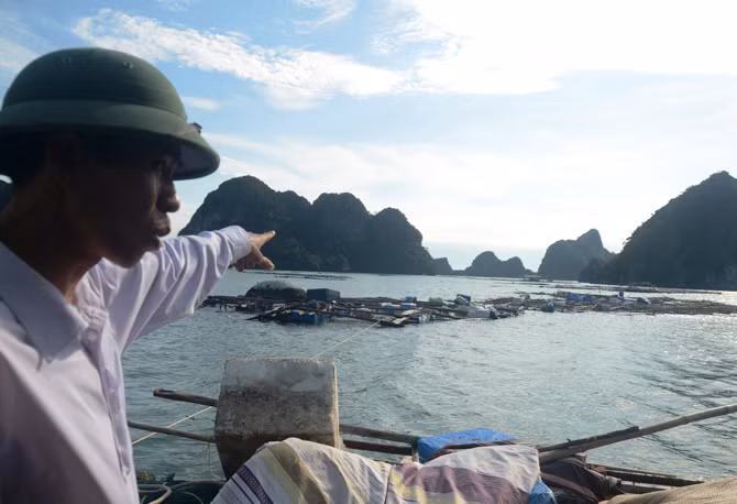 Anh Đặng Trung Hội đau xót hướng mắt về gần 300 chiếc lồng bè nuôi hải sản của mình bị bão đánh nát.