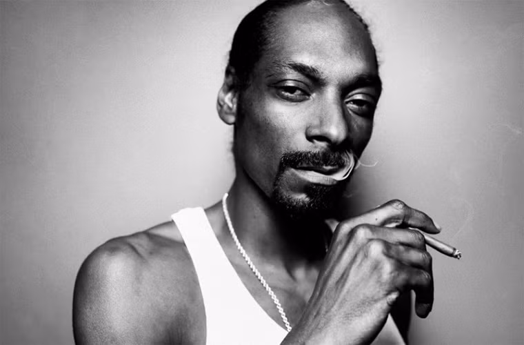 Rapper Snoop Lion cho biết anh hút 81 điếu cần sa/ngày và số tiền chi cho ma túy của Snoop là 24.000 USD/tháng (hơn 500 triệu đồng/tháng).